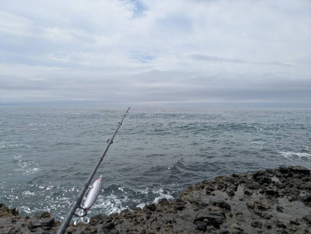 ロッドを構えて磯に立ちながら海を見ている画像