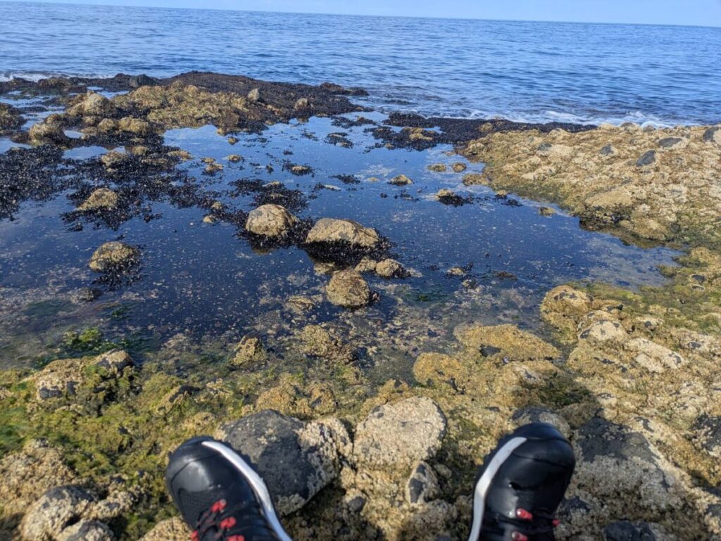 海で休んでいる筆者の画像